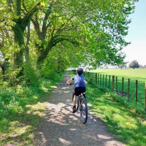 Greytown to Woodside Trail