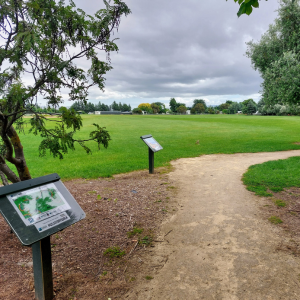 Martinborough  StoryWalk®